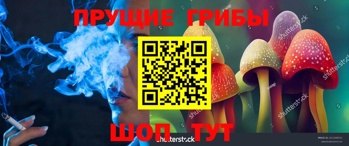 Псилоцибиновые грибы мухоморы  Псилоцибиновые грибы GOLDEN TEACHER  Татарск  Вход с VPN 